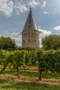 Observation tower in the vineyards of FloÃËrsheim-Wicker